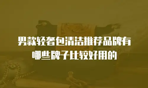 男款轻奢包清洁推荐品牌有哪些牌子比较好用的