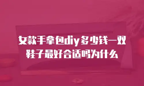女款手拿包diy多少钱一双鞋子最好合适吗为什么