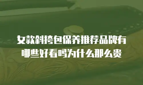 女款斜挎包保养推荐品牌有哪些好看吗为什么那么贵