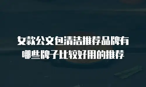 女款公文包清洁推荐品牌有哪些牌子比较好用的推荐