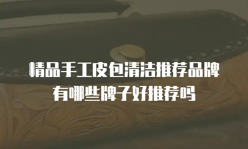 精品手工皮包清洁推荐品牌有哪些牌子好推荐吗