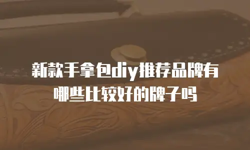 新款手拿包diy推荐品牌有哪些比较好的牌子吗