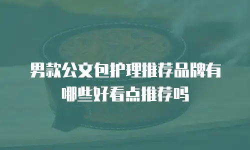 男款公文包护理推荐品牌有哪些好看点推荐吗