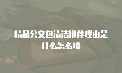 精品公文包清洁推荐理由是什么怎么填