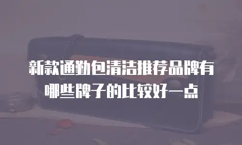 新款通勤包清洁推荐品牌有哪些牌子的比较好一点