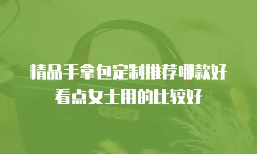 精品手拿包定制推荐哪款好看点女士用的比较好