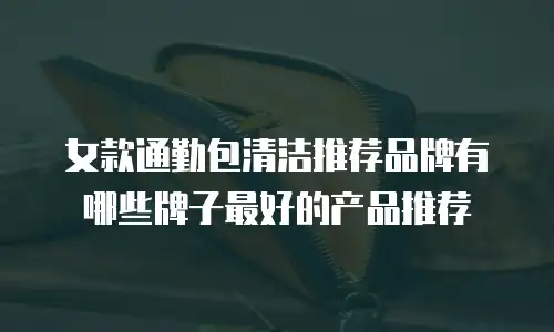 女款通勤包清洁推荐品牌有哪些牌子最好的产品推荐
