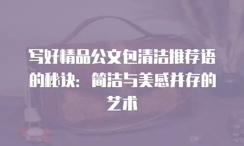 写好精品公文包清洁推荐语的秘诀：简洁与美感并存的艺术