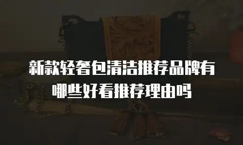 新款轻奢包清洁推荐品牌有哪些好看推荐理由吗