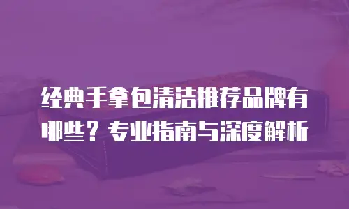 经典手拿包清洁推荐品牌有哪些？专业指南与深度解析
