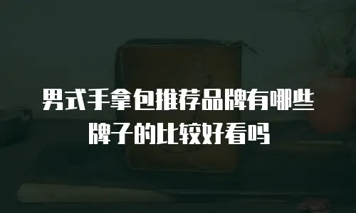 男式手拿包推荐品牌有哪些牌子的比较好看吗