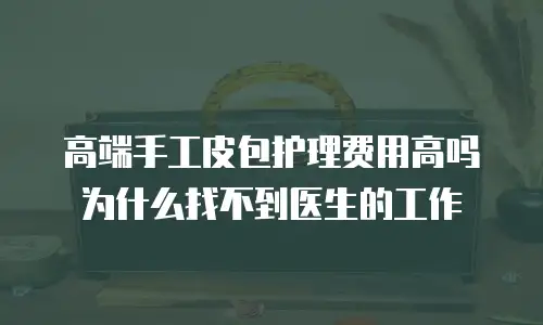高端手工皮包护理费用高吗为什么找不到医生的工作