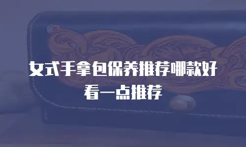 女式手拿包保养推荐哪款好看一点推荐