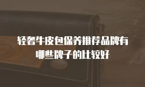 轻奢牛皮包保养推荐品牌有哪些牌子的比较好