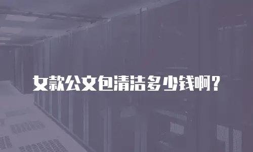 女款公文包清洁多少钱啊？