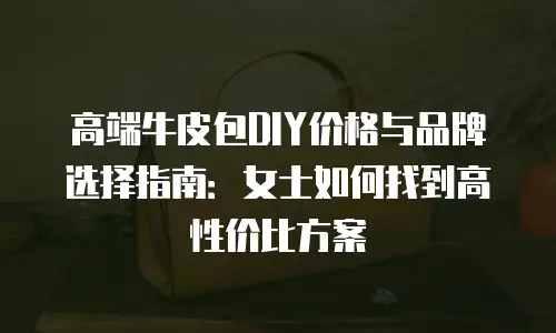 高端牛皮包DIY价格与品牌选择指南：女士如何找到高性价比方案