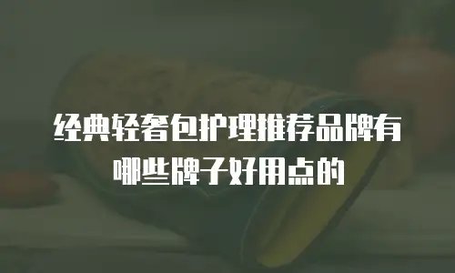 经典轻奢包护理推荐品牌有哪些牌子好用点的