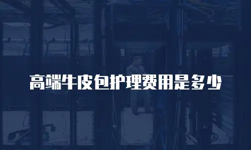高端牛皮包护理费用是多少