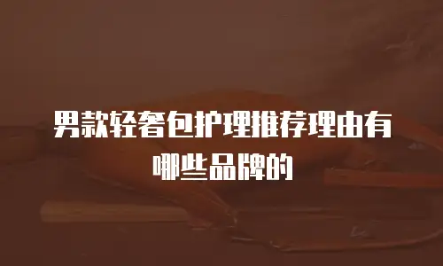 男款轻奢包护理推荐理由有哪些品牌的