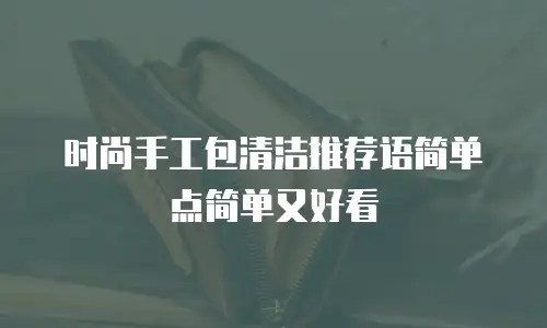 时尚手工包清洁推荐语简单点简单又好看