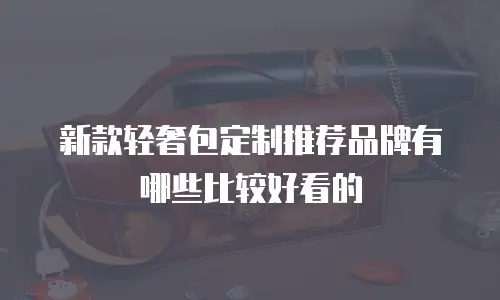 新款轻奢包定制推荐品牌有哪些比较好看的