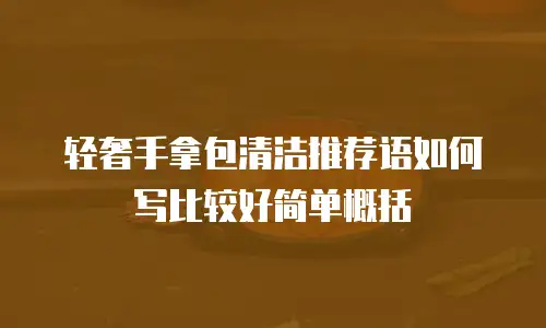 轻奢手拿包清洁推荐语如何写比较好简单概括