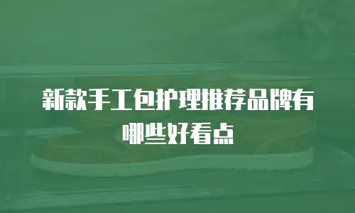新款手工包护理推荐品牌有哪些好看点