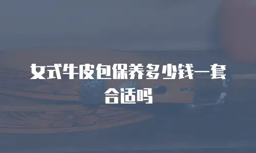 女式牛皮包保养多少钱一套合适吗