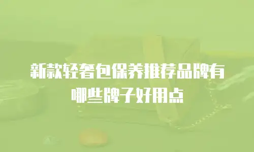 新款轻奢包保养推荐品牌有哪些牌子好用点