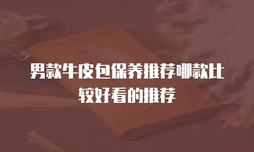 男款牛皮包保养推荐哪款比较好看的推荐