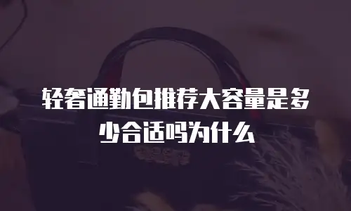 轻奢通勤包推荐大容量是多少合适吗为什么