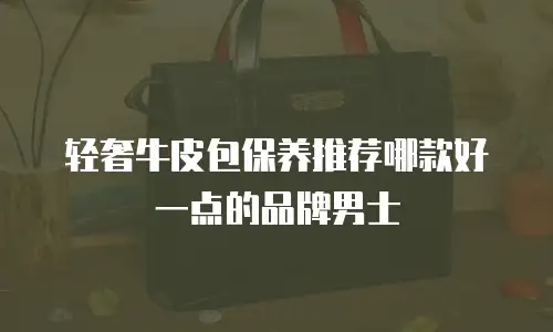 轻奢牛皮包保养推荐哪款好一点的品牌男士