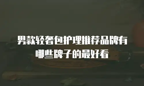 男款轻奢包护理推荐品牌有哪些牌子的最好看