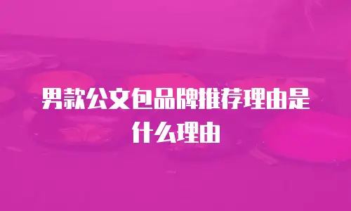 男款公文包品牌推荐理由是什么理由