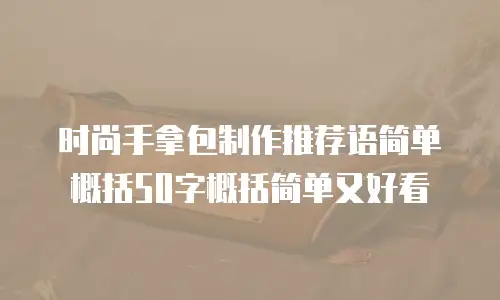时尚手拿包制作推荐语简单概括50字概括简单又好看