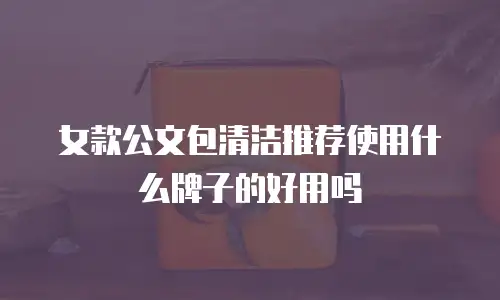 女款公文包清洁推荐使用什么牌子的好用吗