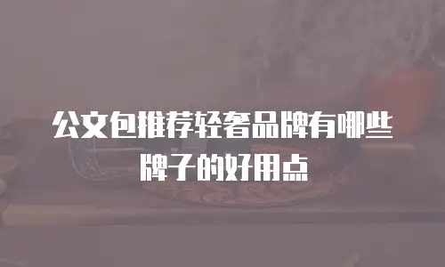 公文包推荐轻奢品牌有哪些牌子的好用点