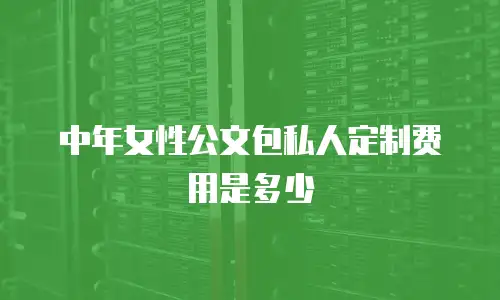 中年女性公文包私人定制费用是多少
