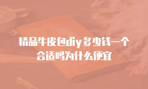 精品牛皮包diy多少钱一个合适吗为什么便宜