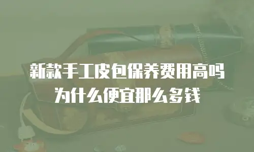 新款手工皮包保养费用高吗为什么便宜那么多钱