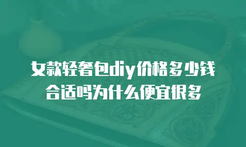女款轻奢包diy价格多少钱合适吗为什么便宜很多