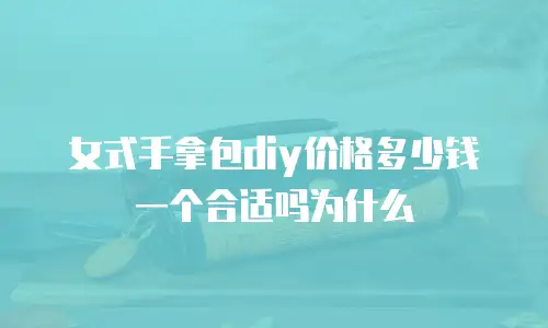 女式手拿包diy价格多少钱一个合适吗为什么