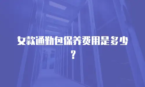 女款通勤包保养费用是多少？