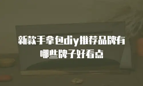 新款手拿包diy推荐品牌有哪些牌子好看点