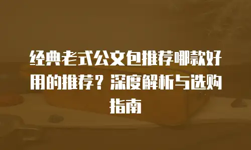 经典老式公文包推荐哪款好用的推荐？深度解析与选购指南  