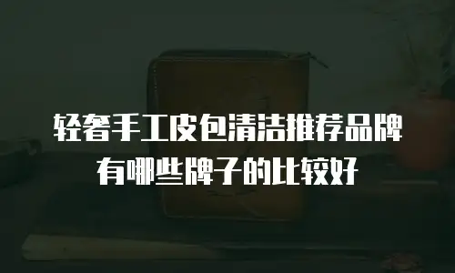 轻奢手工皮包清洁推荐品牌有哪些牌子的比较好