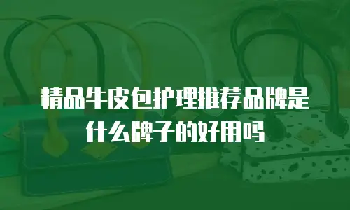 精品牛皮包护理推荐品牌是什么牌子的好用吗