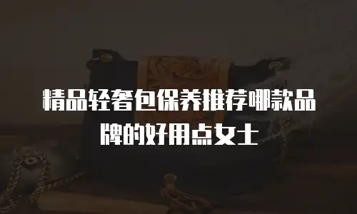 精品轻奢包保养推荐哪款品牌的好用点女士