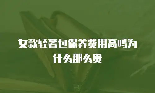 女款轻奢包保养费用高吗为什么那么贵