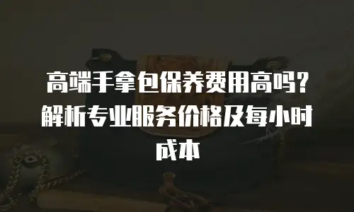 高端手拿包保养费用高吗？解析专业服务价格及每小时成本